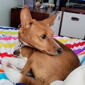 Meet your Posher, Amina